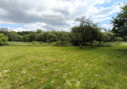 działka na sprzedaż - Orzesze, Woszczyce