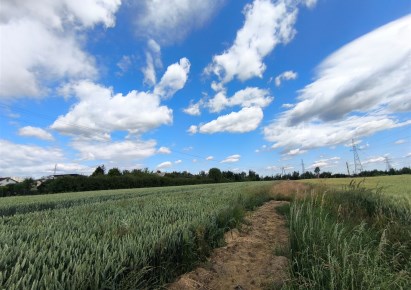 działka na sprzedaż - Żory, Baranowice