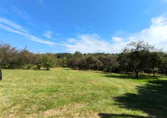 działka na sprzedaż - Orzesze, Woszczyce