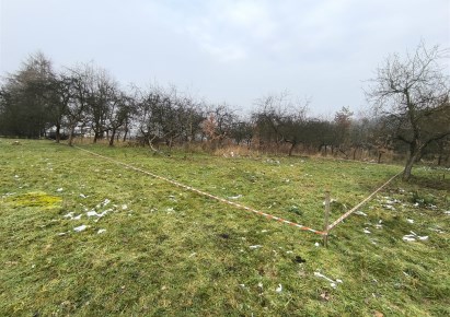 działka na sprzedaż - Orzesze, Woszczyce