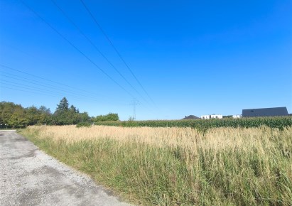 działka na sprzedaż - Żory, Baranowice