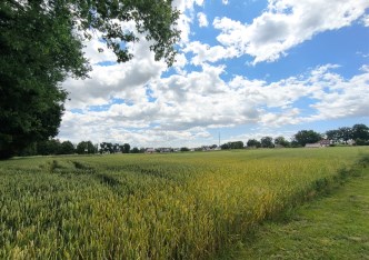 działka na sprzedaż - Żory, Baranowice