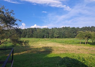 działka na sprzedaż - Orzesze, Woszczyce