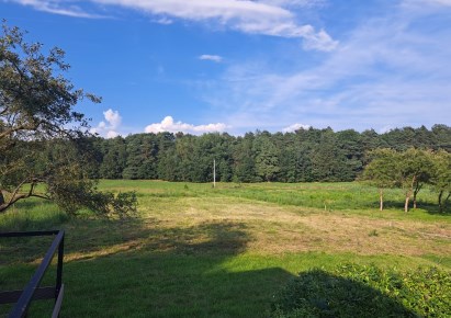 działka na sprzedaż - Orzesze, Woszczyce