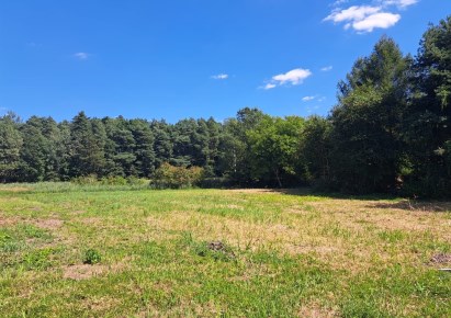 działka na sprzedaż - Orzesze, Woszczyce