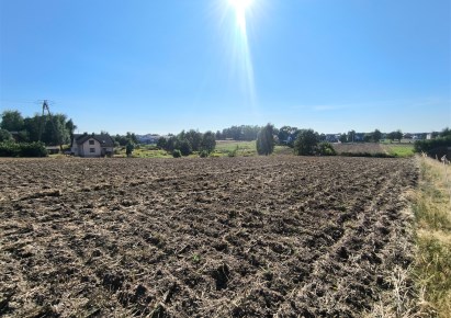 działka na sprzedaż - Żory, Rój