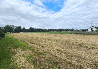 działka na sprzedaż - Żory, Baranowice